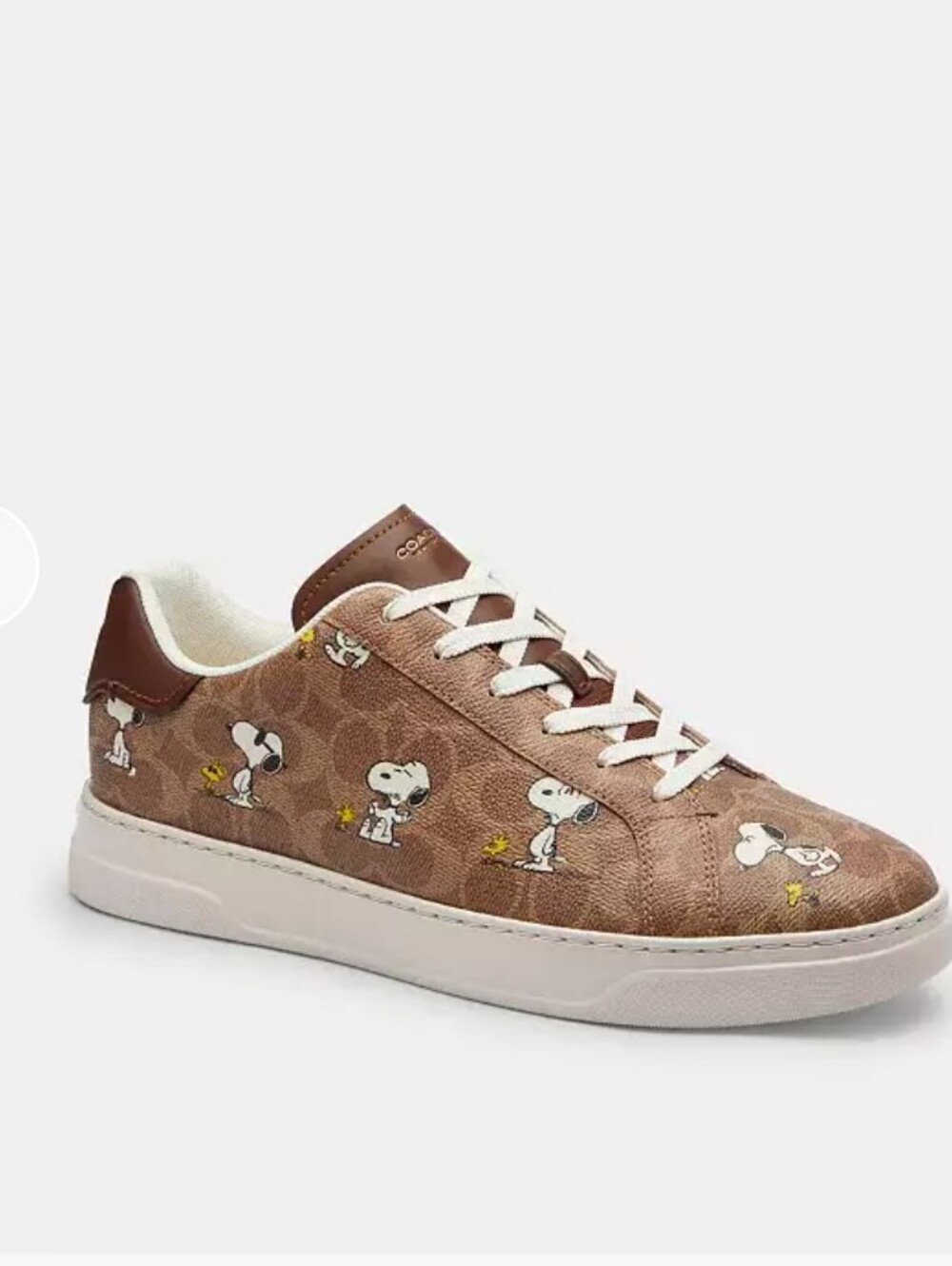 Coach Sneakers